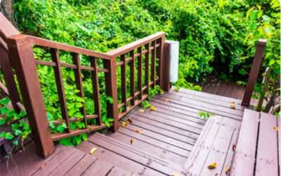 Wood Deck &  Fence Cleaning